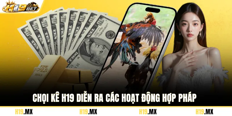 Chọi kê H19 diễn ra các hoạt động hợp pháp